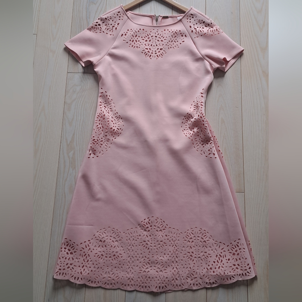 T Tahari Pink Embellished Sheath Dress with Cut Out Details